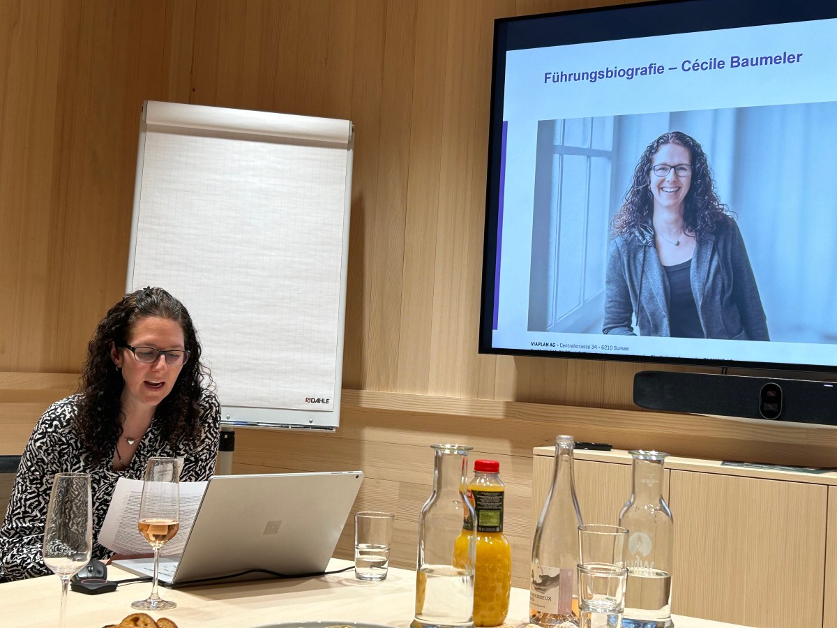 Geschäftsführung in Teilzeit, Viaplan&nbsp;AG